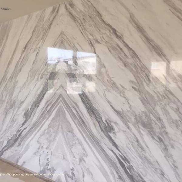 Đá granite màu ghi xám X00621