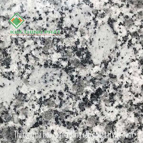 Đá granite màu ghi xám X0065