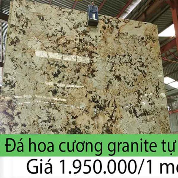 giá đá hoa cương granite
